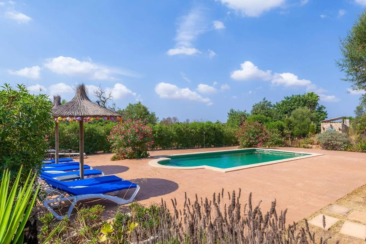 Acuario Villa Llucmajor  Spain