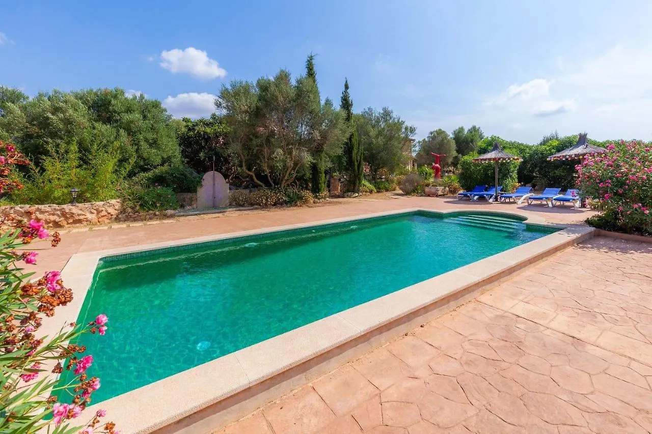 Acuario Villa Llucmajor