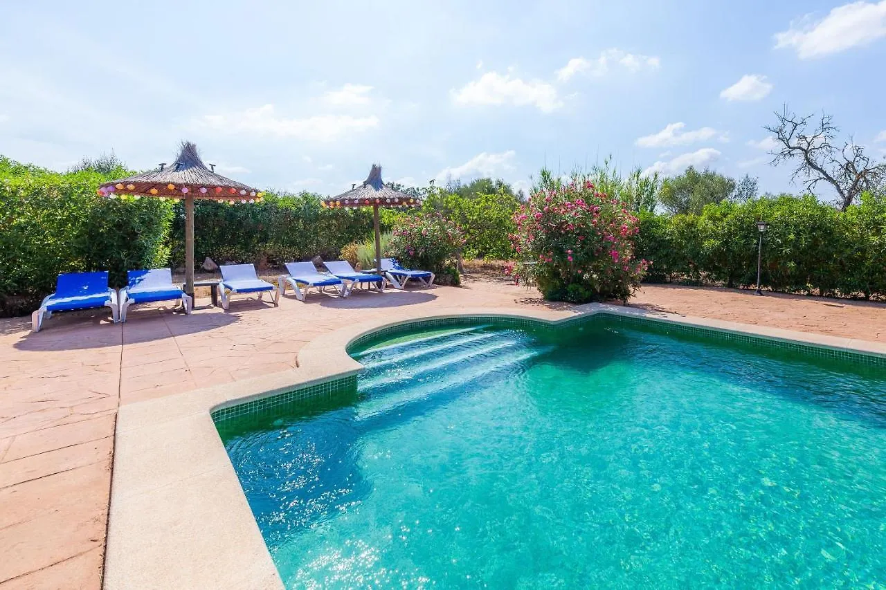 Acuario Villa Llucmajor